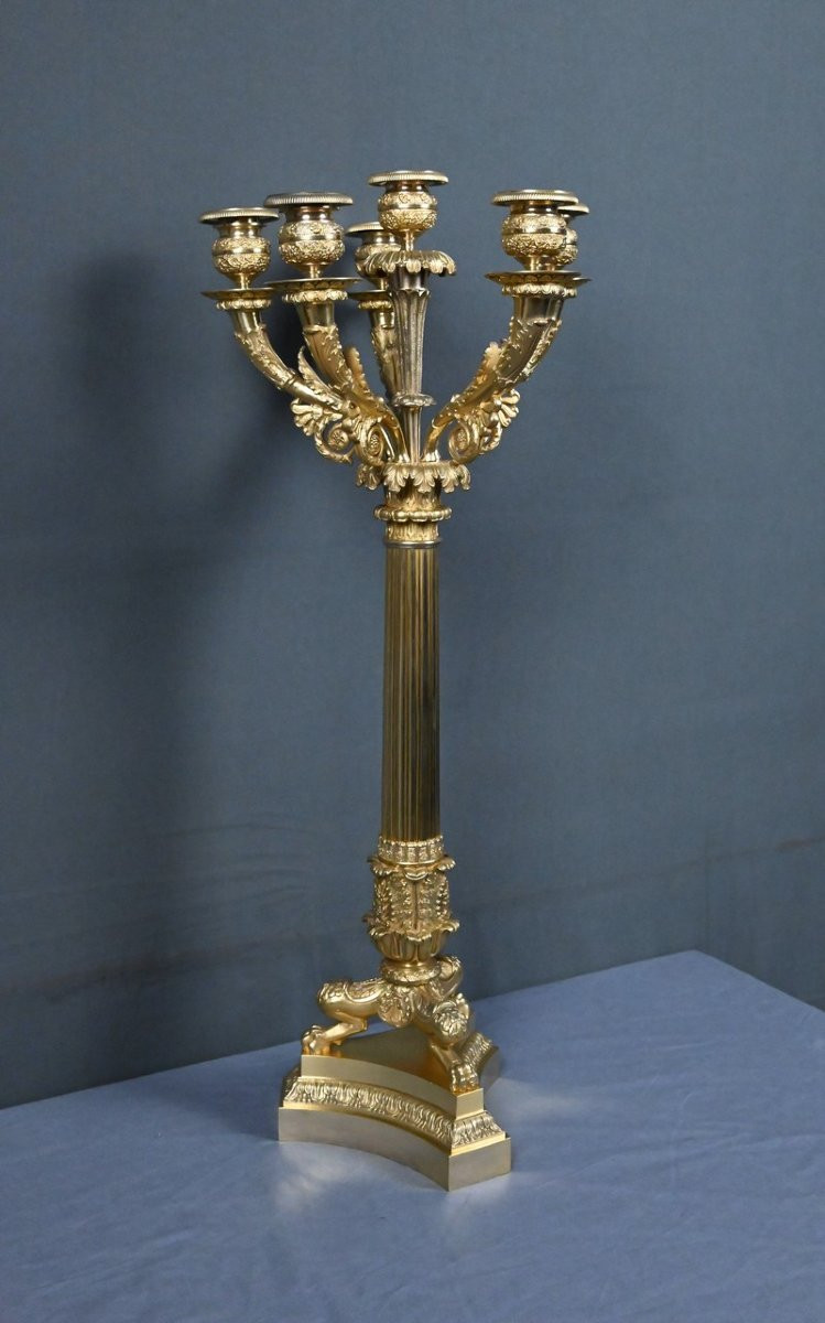 Gilt Bronze Candelabra, Restoration Period – Early 19th Century-photo-4