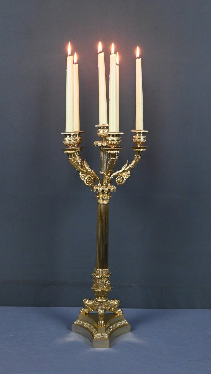 Gilt Bronze Candelabra, Restoration Period – Early 19th Century-photo-2