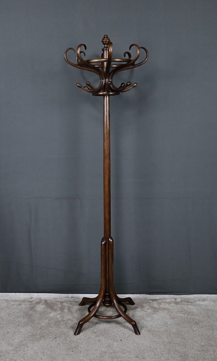 Porte-manteaux Perroquet en Hêtre – Début XXe-photo-3