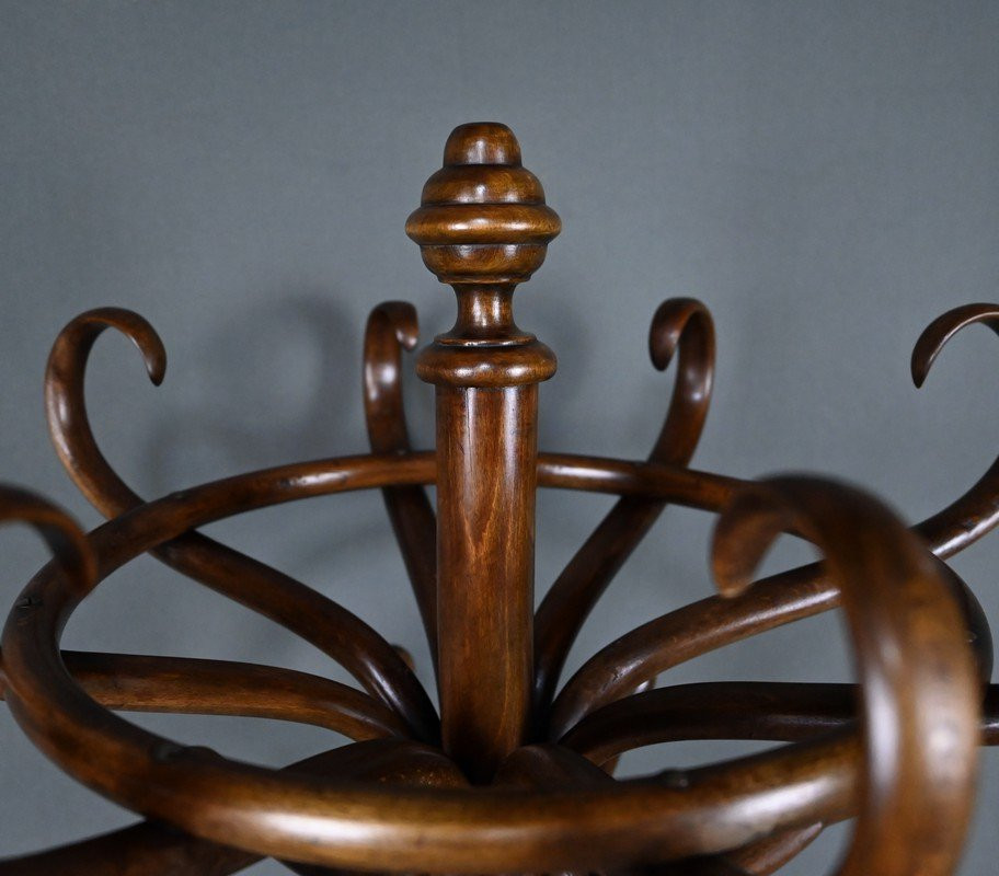 Porte-manteaux Perroquet en Hêtre – Début XXe-photo-1