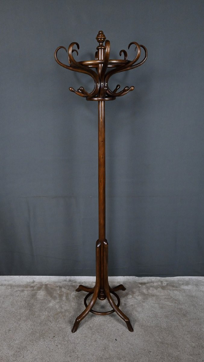 Porte-manteaux Perroquet en Hêtre – Début XXe-photo-4