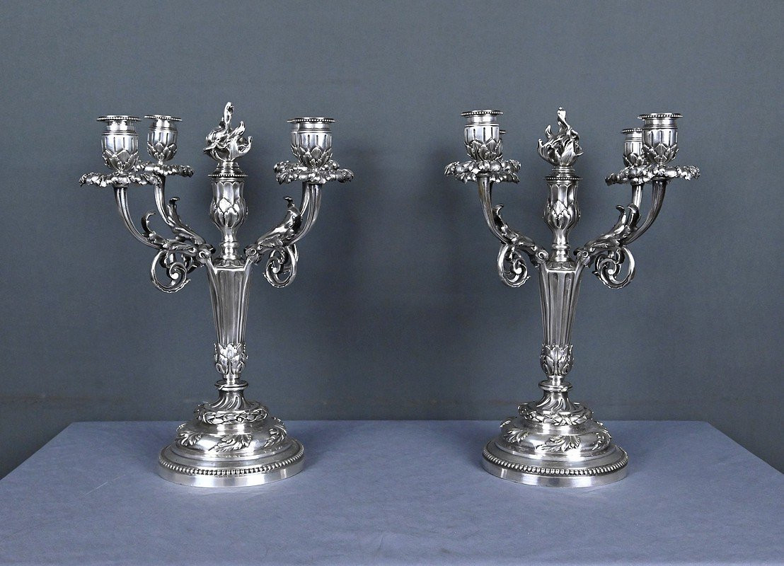Pair Of Silvered Bronze Candelabra, Louis XVI Style – Late 19th Century-photo-1