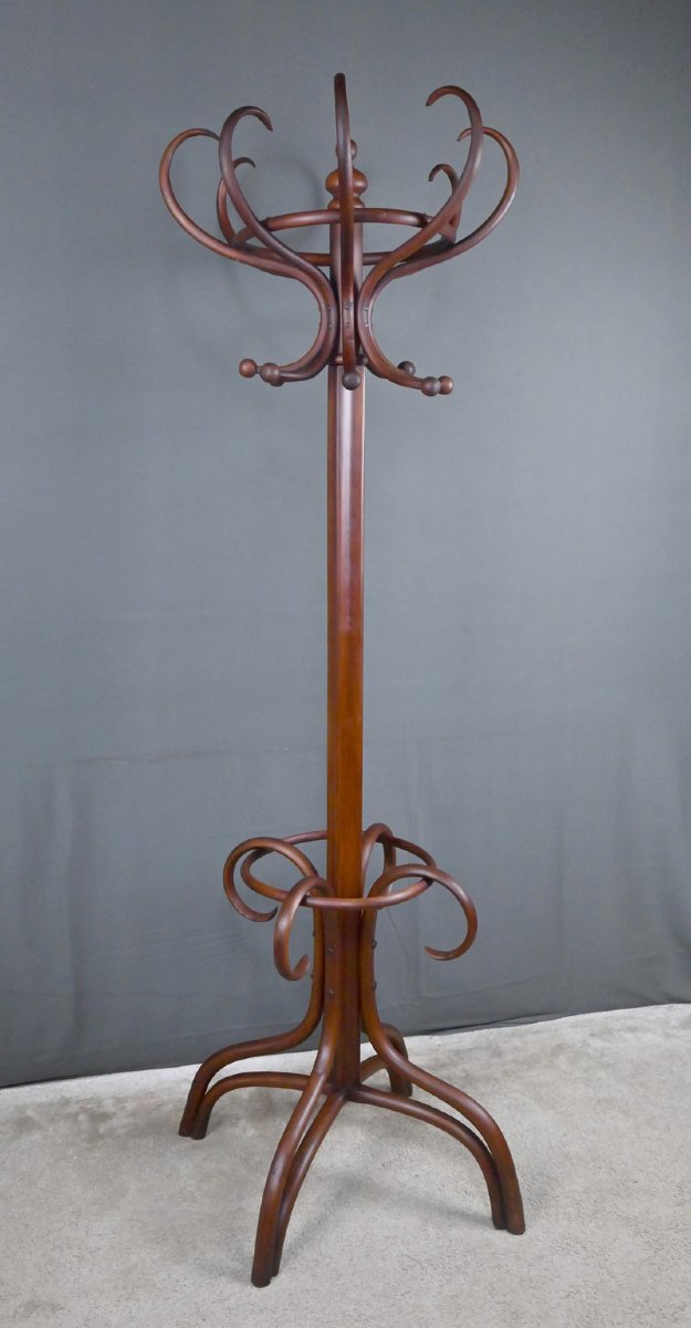 Large Curved Beech Parrot Coat Rack, Thonet Style – Early 20th Century-photo-3