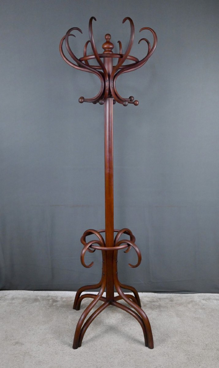 Large Curved Beech Parrot Coat Rack, Thonet Style – Early 20th Century-photo-4