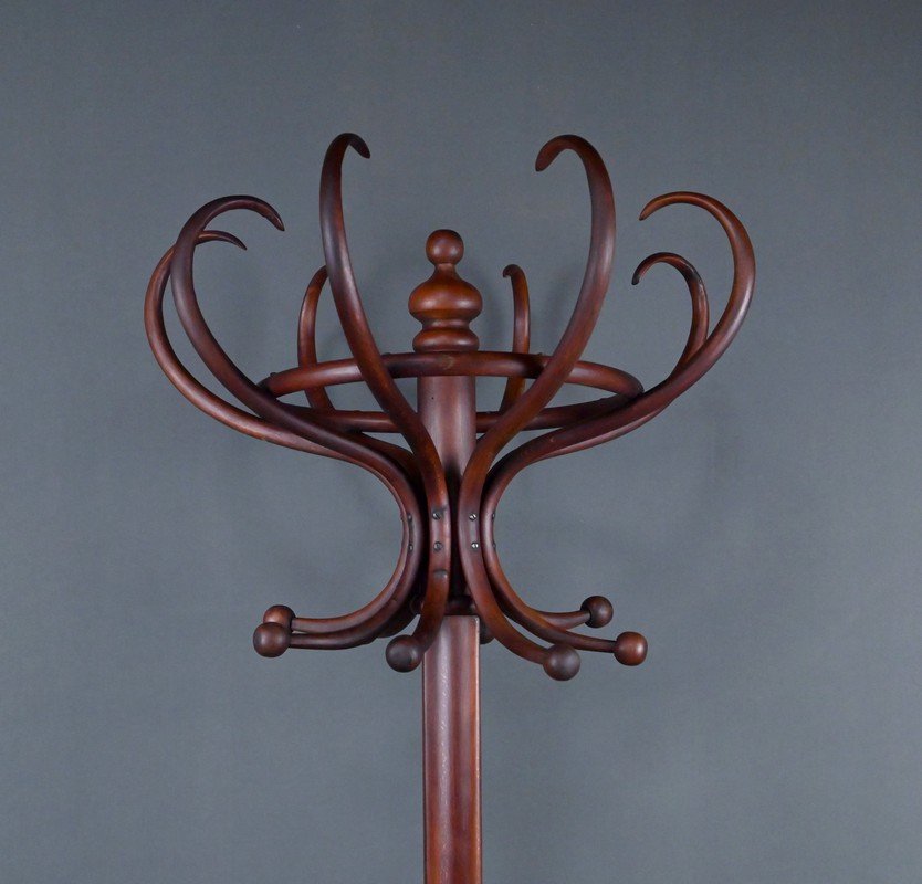 Large Curved Beech Parrot Coat Rack, Thonet Style – Early 20th Century-photo-1