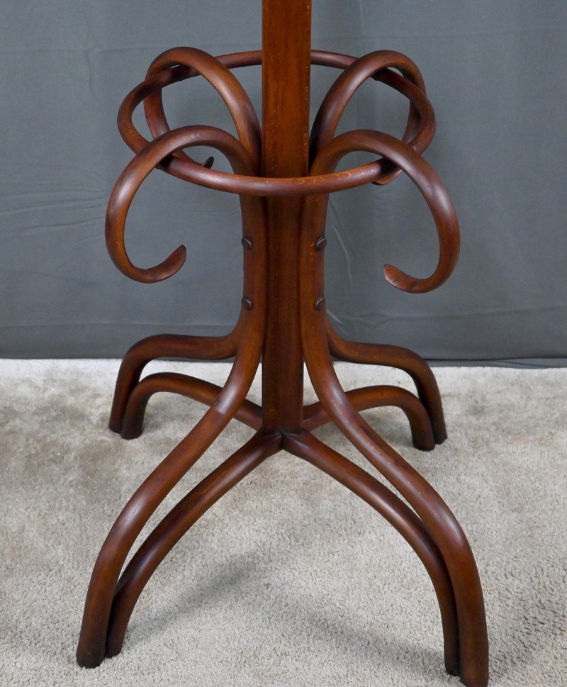 Large Curved Beech Parrot Coat Rack, Thonet Style – Early 20th Century-photo-2