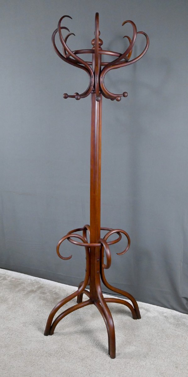 Large Curved Beech Parrot Coat Rack, Thonet Style – Early 20th Century-photo-3
