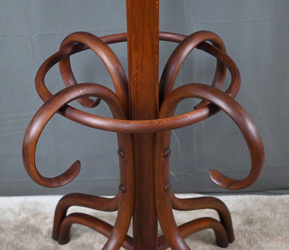 Large Curved Beech Parrot Coat Rack, Thonet Style – Early 20th Century-photo-4