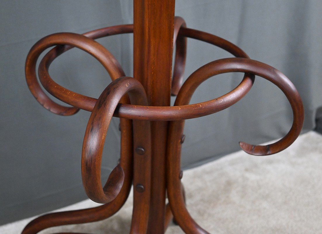 Large Curved Beech Parrot Coat Rack, Thonet Style – Early 20th Century-photo-5