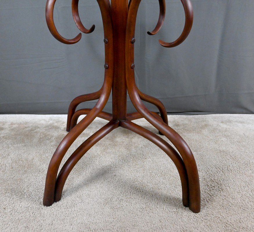 Large Curved Beech Parrot Coat Rack, Thonet Style – Early 20th Century-photo-6