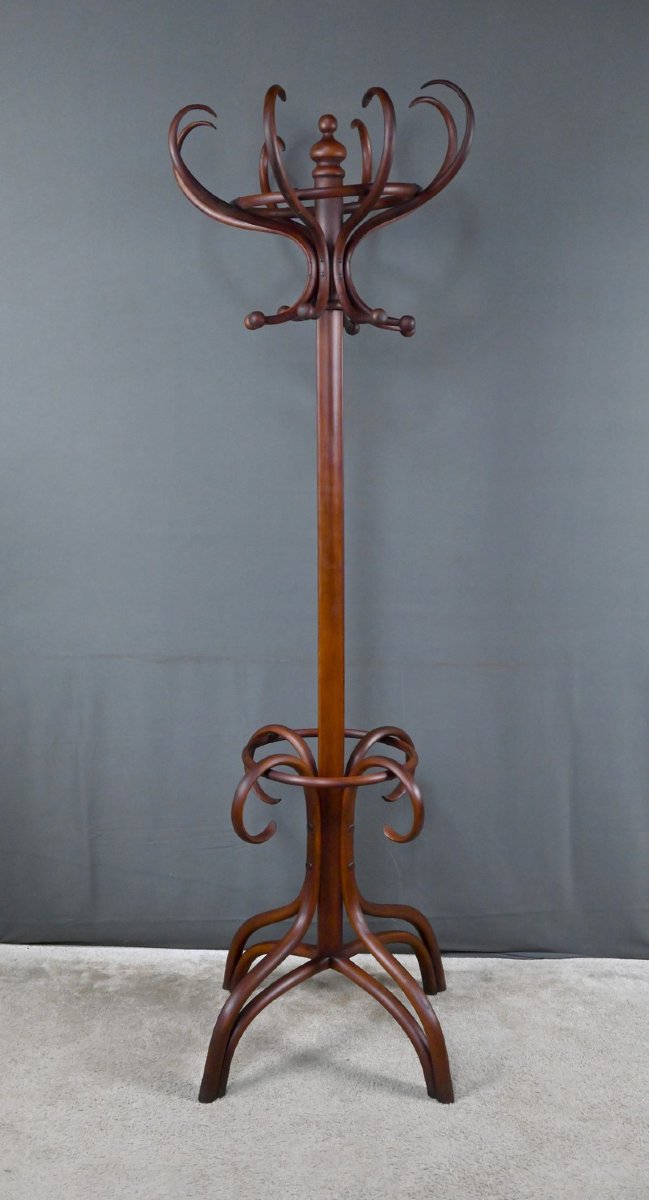 Large Curved Beech Parrot Coat Rack, Thonet Style – Early 20th Century-photo-7