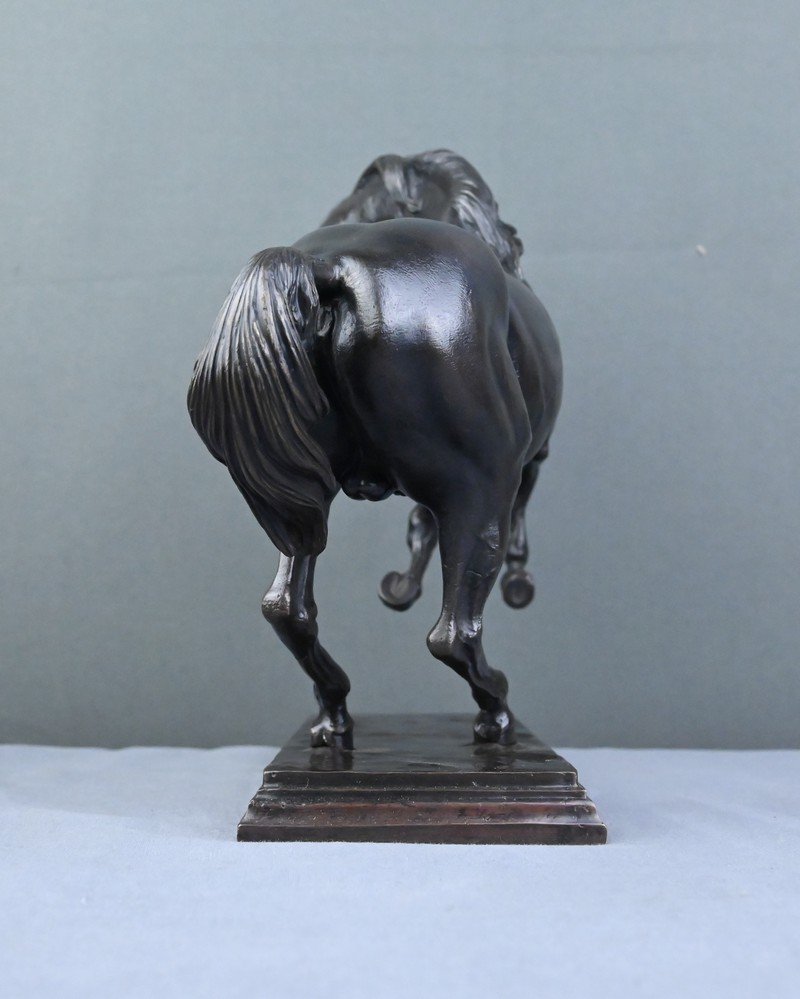 Bronze "the Prancing Horse" – Late 19th Century-photo-4