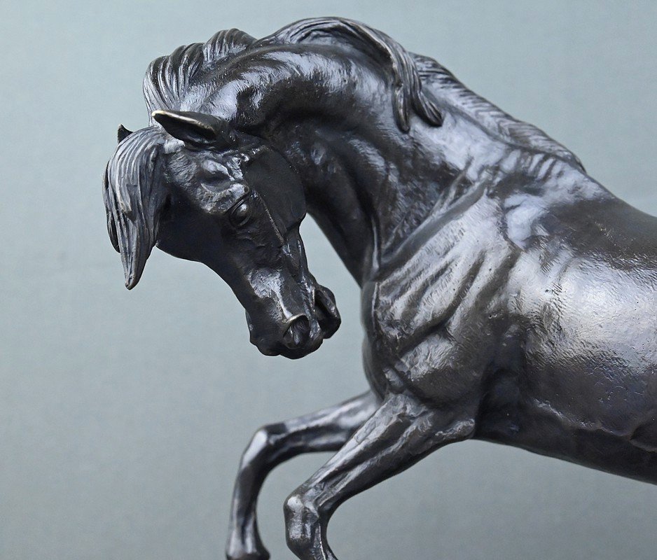 Bronze "the Prancing Horse" – Late 19th Century-photo-7