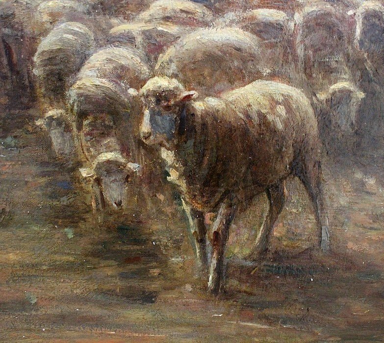  Grand Tableau '' Moutons Au Pâturage '' Signée A. Charpin, 1906 - Début XXe -photo-5