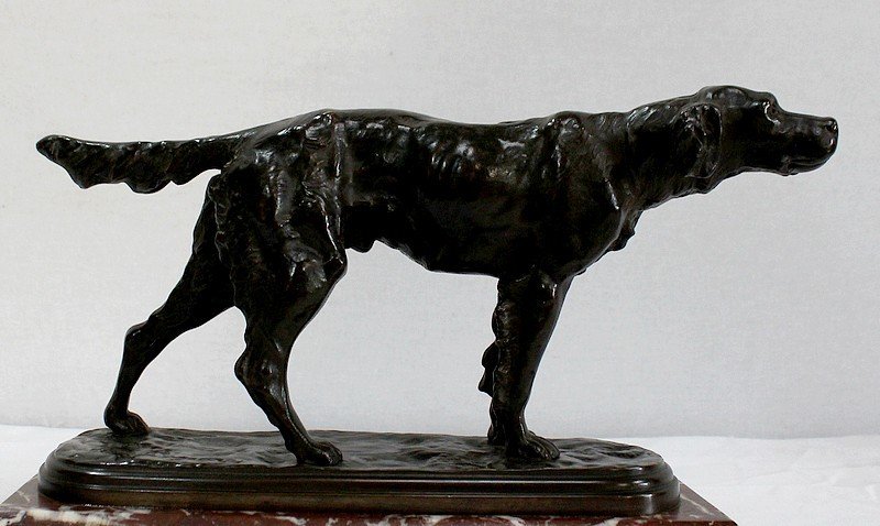  Bronze « Chien De Chasse à L’arrêt » De E. De Gaspary – Fin XIXe -photo-4