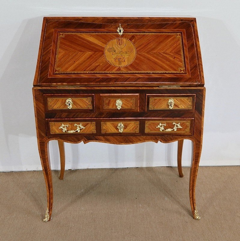 Middle Slope Desk In Precious Wood, Louis XV Period - Eighteenth-photo-3