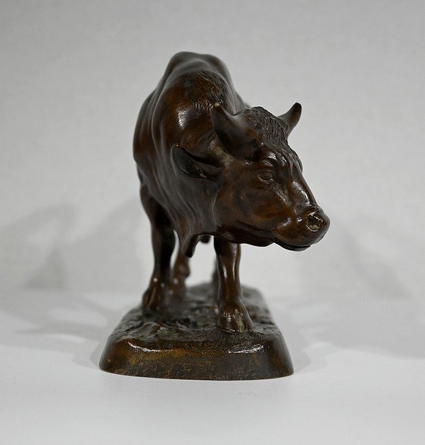 Bronze -photo-3