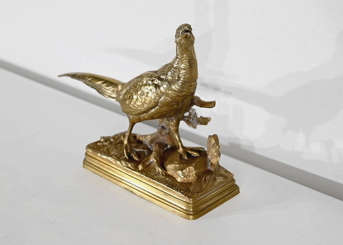 Bronze -photo-2