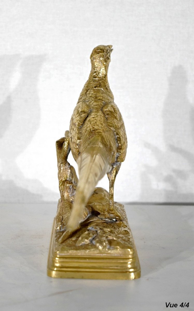 Bronze « Le Faisan », Signé Dubucand – 2ème Moitié Du XIXe-photo-8