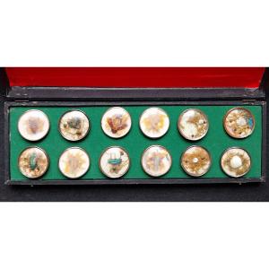 12 Boutons naturalistes à la Buffon XVIIIème