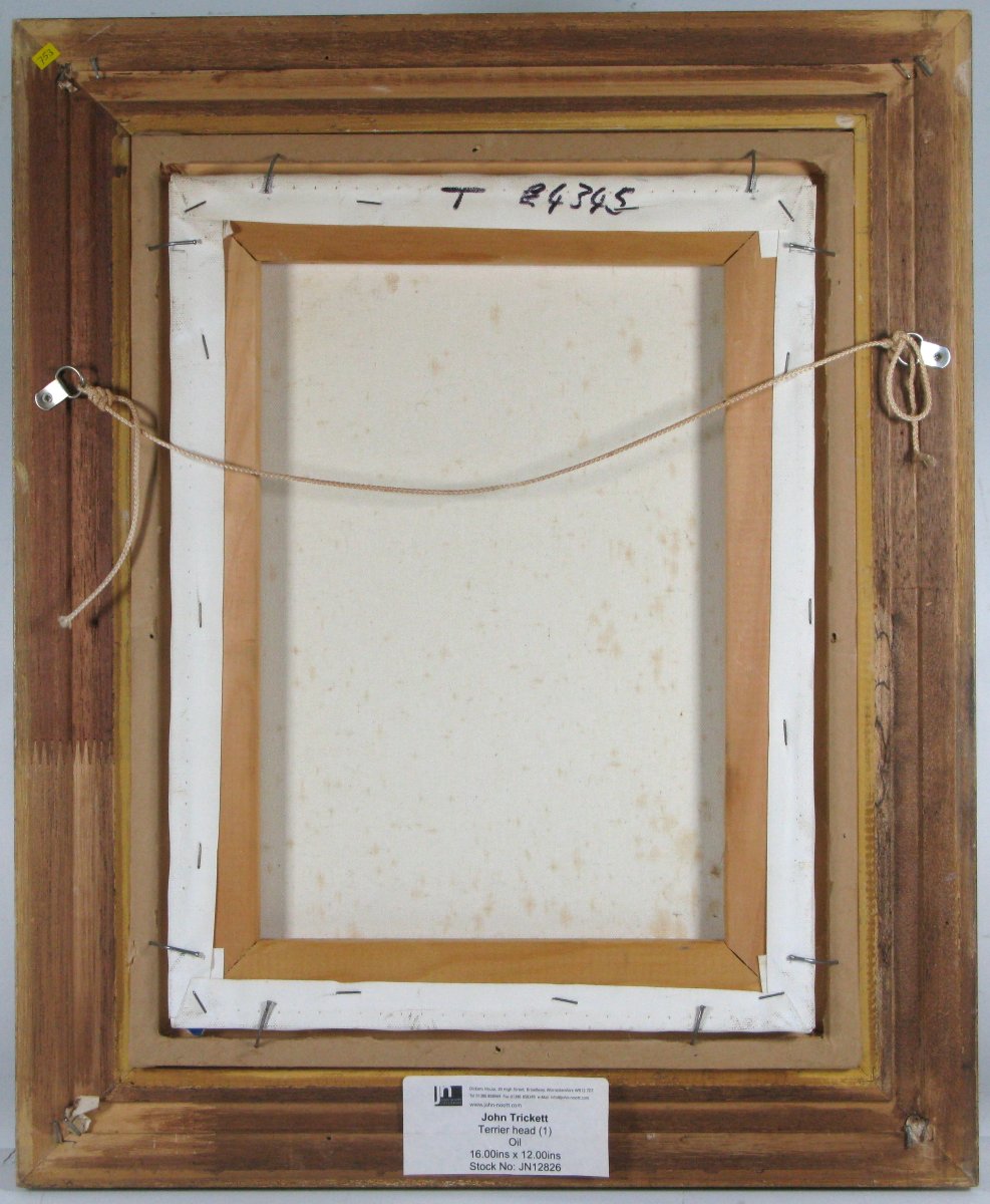 John Trickett (british Born 1953) Portrait Of A Terrier Dog Oil On Canvas-photo-4