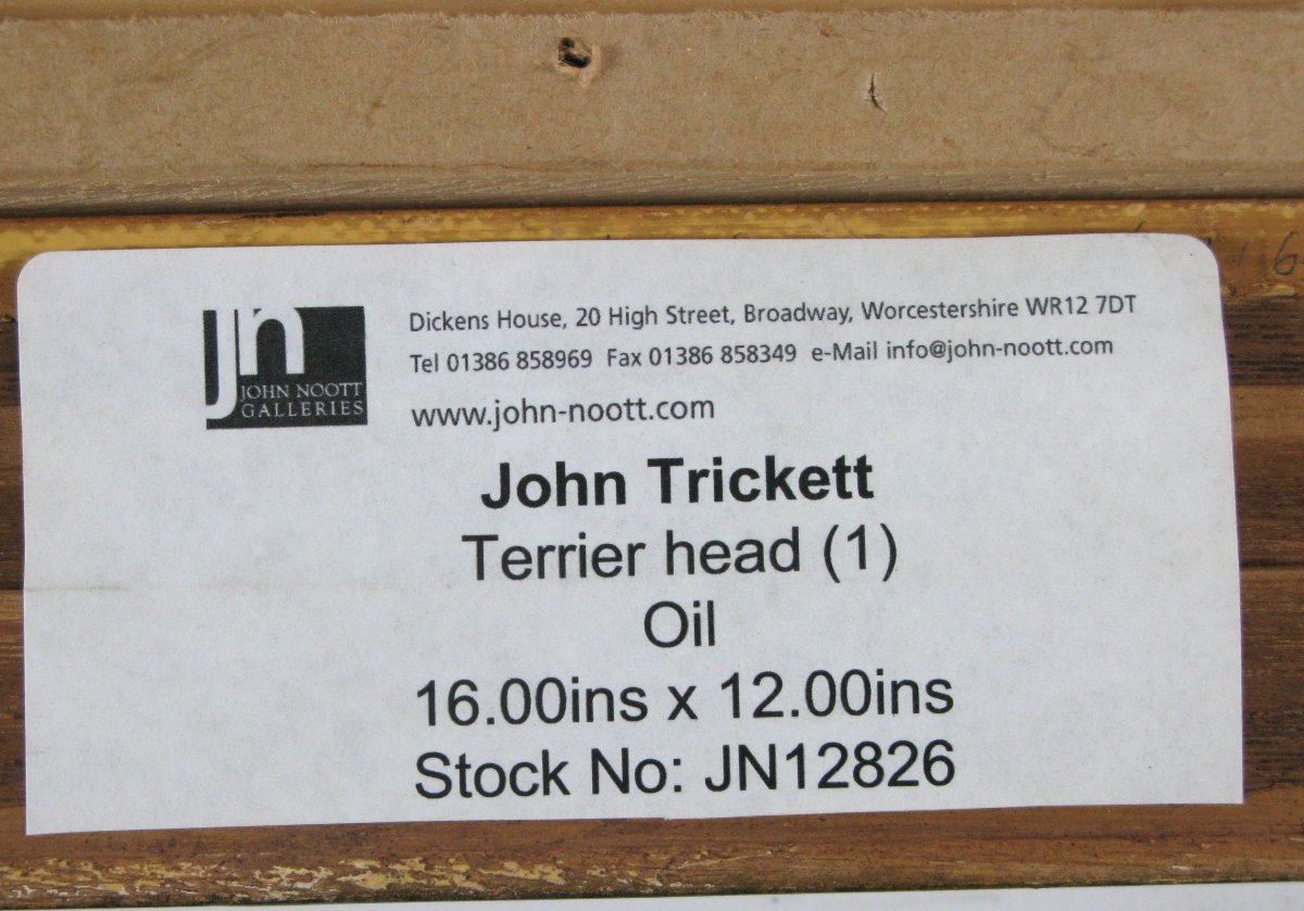 John Trickett (british Born 1953) Portrait Of A Terrier Dog Oil On Canvas-photo-1
