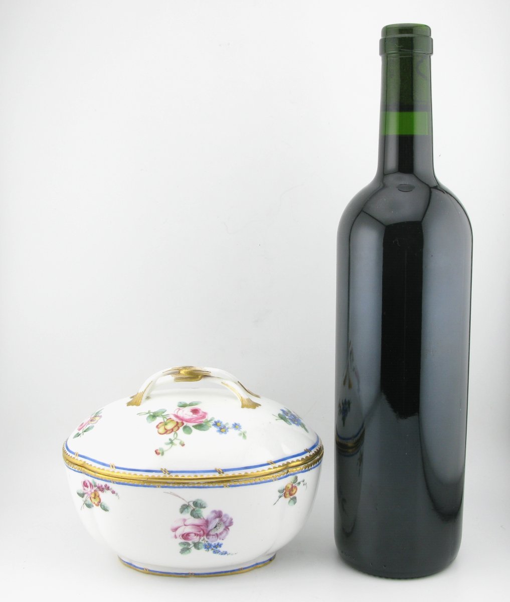 18th Century Sèvres Soft Porcelain Sugar Bowl Or Chestnut Dish, 1756-photo-6