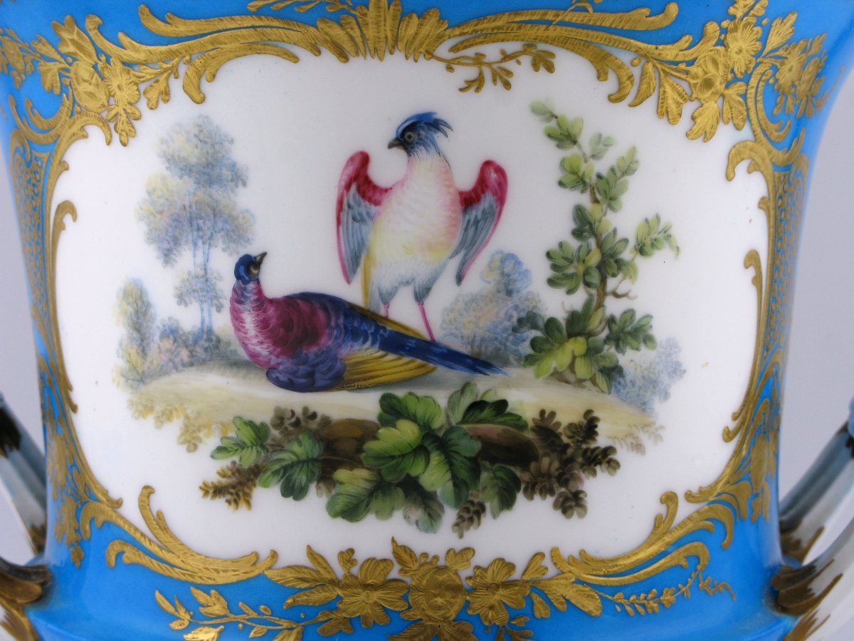 Sevres Style Porcelain Bleu Celeste Campagna Vase-photo-4