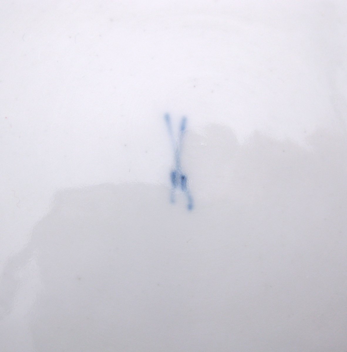 18th-century Meissen Armorial Porcelain Plate Ferrero Service, C1740-photo-6