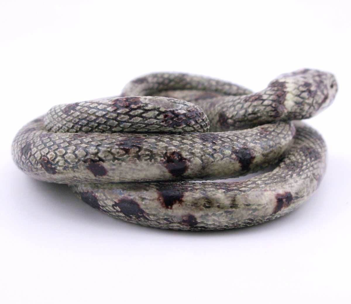 19th-century French Earthenware Model Of A Snake, Probably Saint-honoré-les-bains, Palissy-photo-4