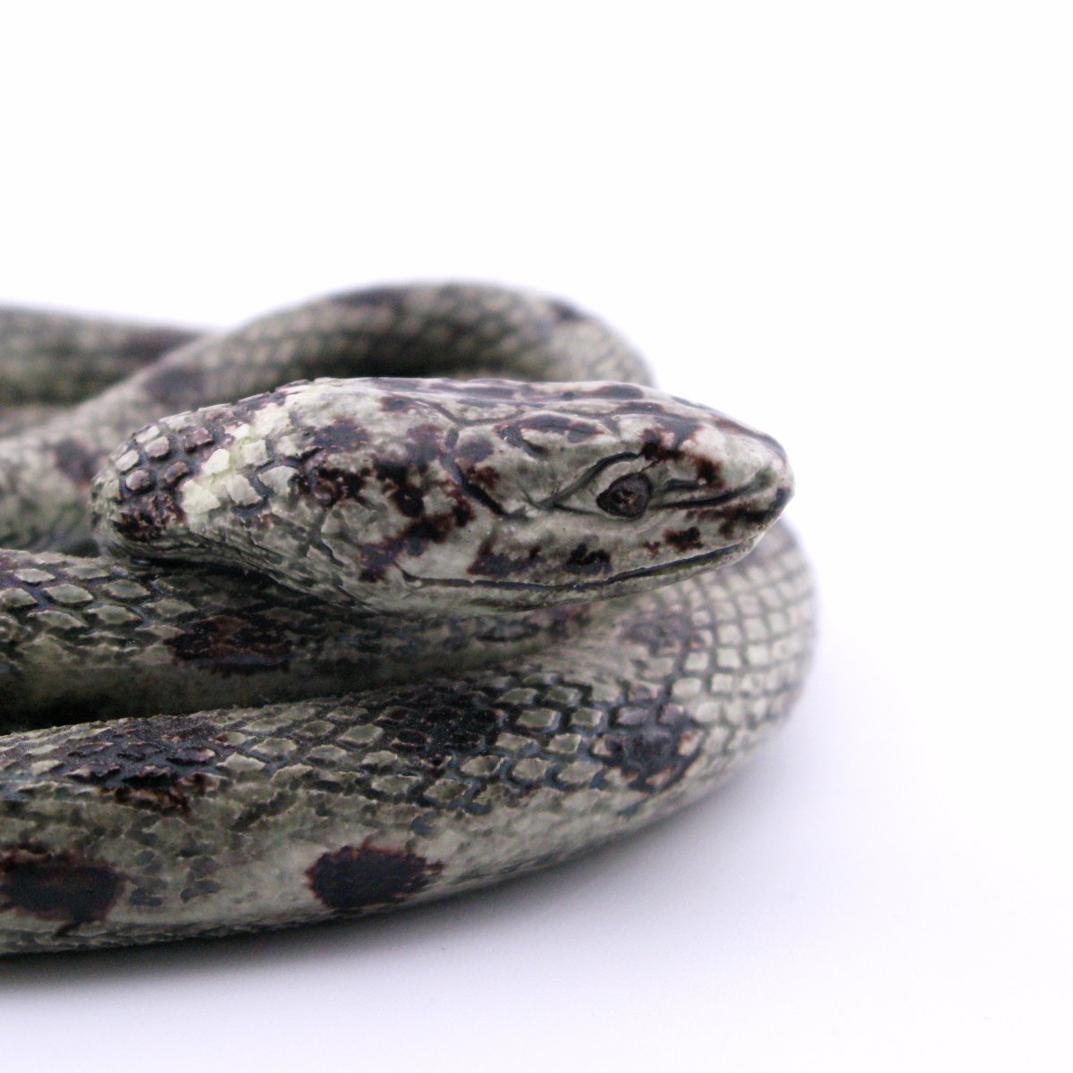 19th-century French Earthenware Model Of A Snake, Probably Saint-honoré-les-bains, Palissy-photo-1
