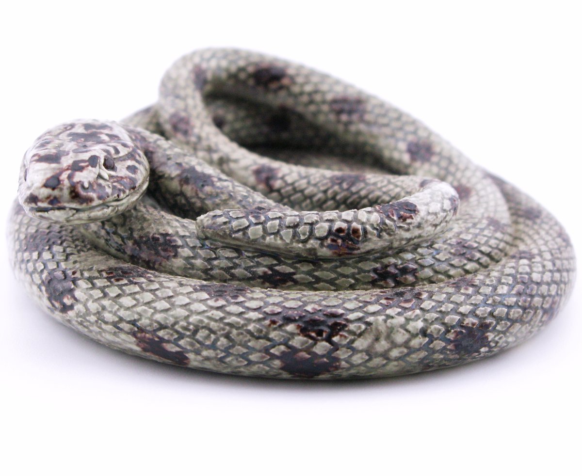 19th-century French Earthenware Model Of A Snake, Probably Saint-honoré-les-bains, Palissy-photo-2
