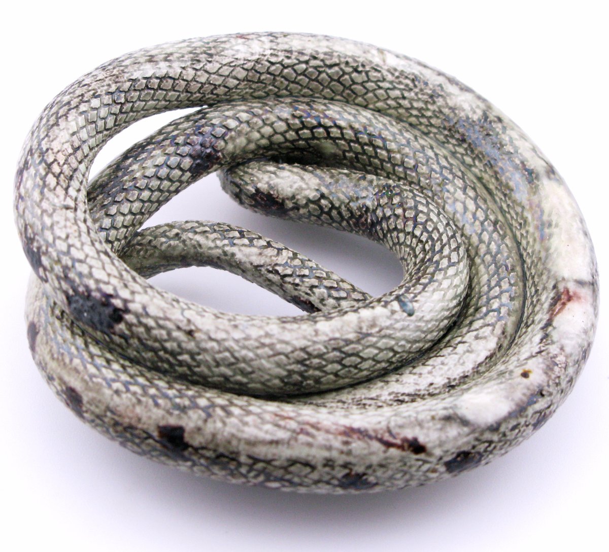 19th-century French Earthenware Model Of A Snake, Probably Saint-honoré-les-bains, Palissy-photo-3