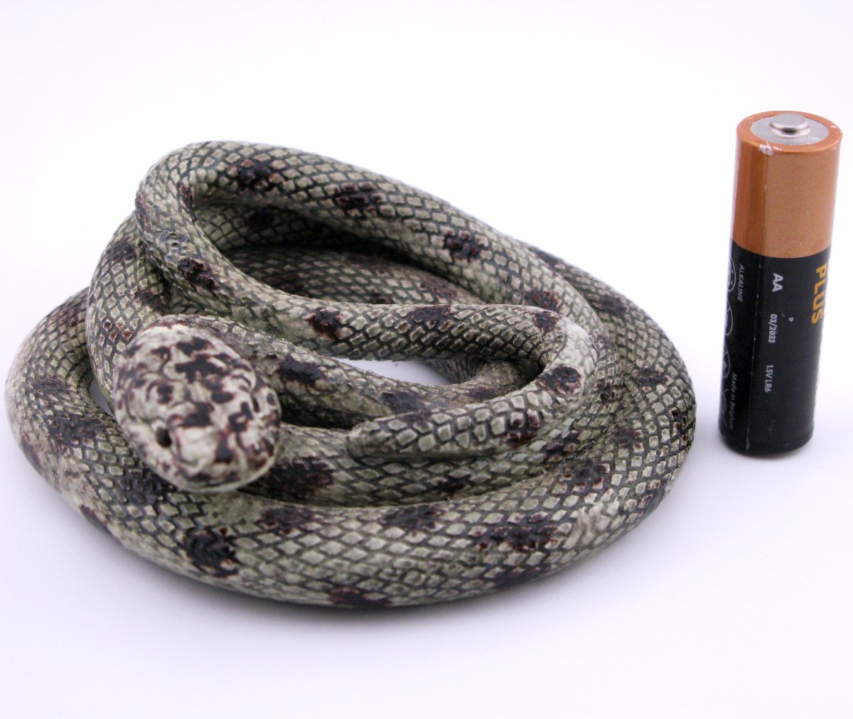 19th-century French Earthenware Model Of A Snake, Probably Saint-honoré-les-bains, Palissy-photo-4