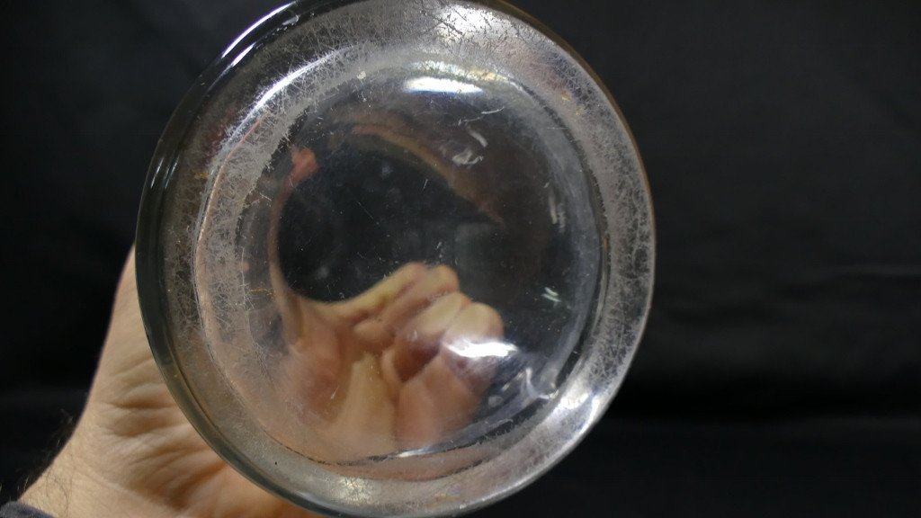 Baccarat Laurier, Large Engraved Crystal Vase, 1900 Period-photo-3