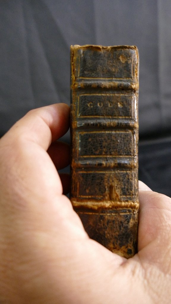 Code Louis, petit Livre "ordonnance De Louis XIV, Roi De France Et De Navarre" Daté 1669-photo-3