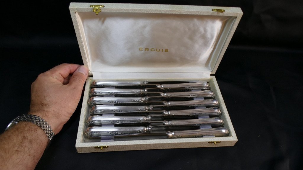 Ercuis Louis XV, Box Of 12 Table Knives In Silver Metal-photo-5