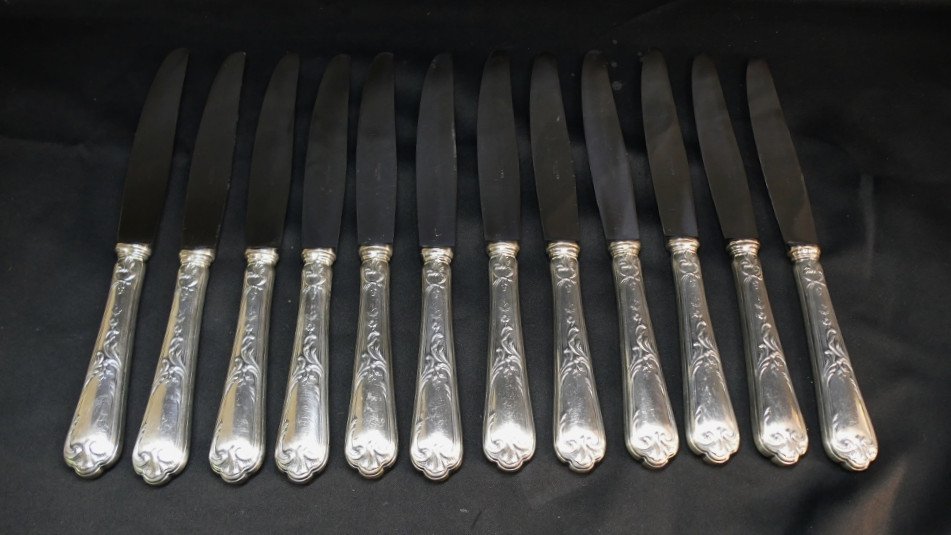 Ercuis Louis XV, Box Of 12 Table Knives In Silver Metal