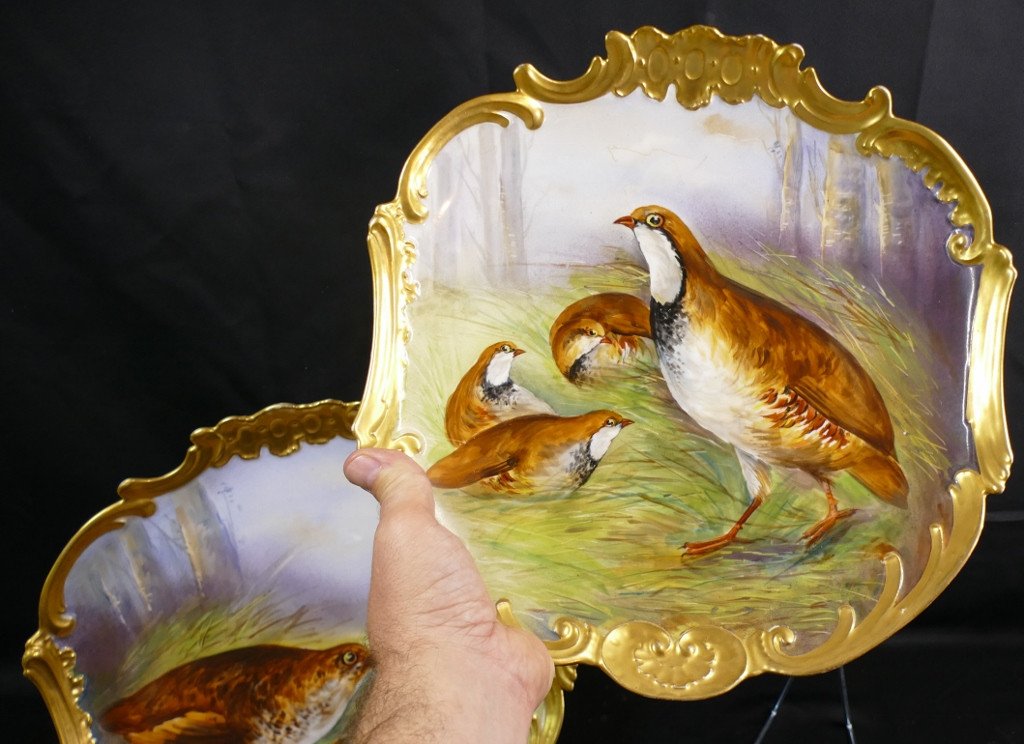 Woodcock And Partridge, Pair Of Hand-painted Decorative Dishes, Limoges Porcelain Late 19th Century-photo-3