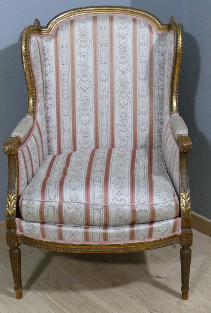 Louis XVI Style Bergère Armchair In Golden Wood, Late 19th Century