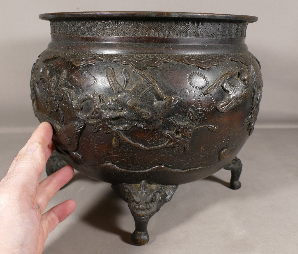 Cache Pot Chinois En Bronze Décor Aux Oiseaux, Feuillages Et Dragons, époque XIX ème-photo-3