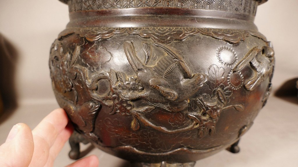 Cache Pot Chinois En Bronze Décor Aux Oiseaux, Feuillages Et Dragons, époque XIX ème-photo-4