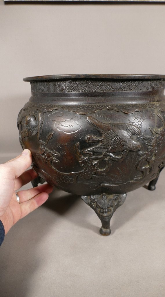 Cache Pot Chinois En Bronze Décor Aux Oiseaux, Feuillages Et Dragons, époque XIX ème-photo-1
