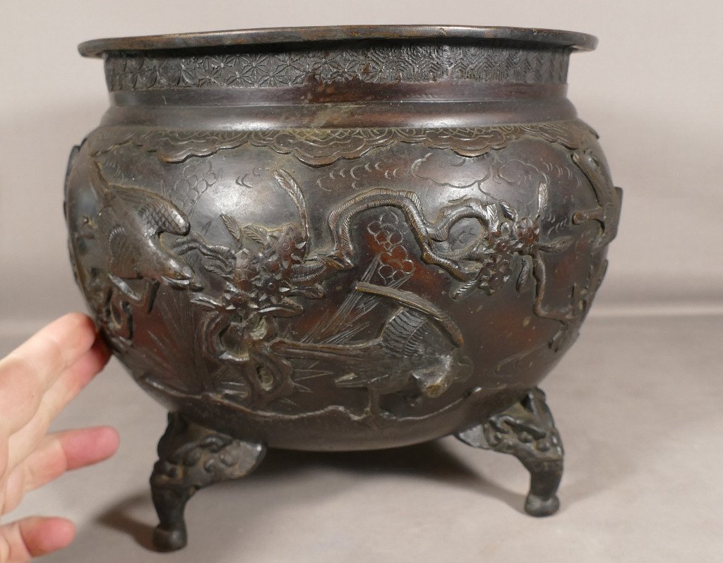 Cache Pot Chinois En Bronze Décor Aux Oiseaux, Feuillages Et Dragons, époque XIX ème-photo-4