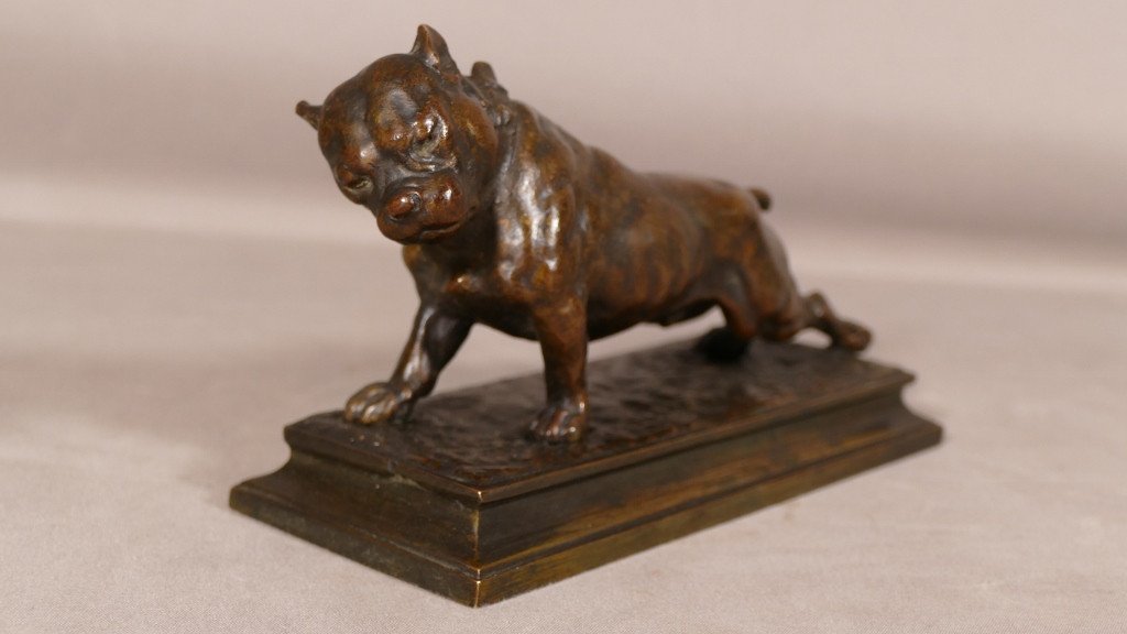 The Bulldog, Animal Bronze Late 19th Century By Joseph Victor Chemin-photo-2