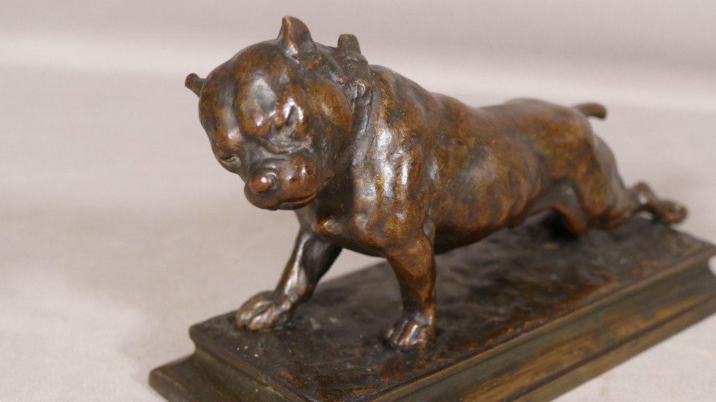 The Bulldog, Animal Bronze Late 19th Century By Joseph Victor Chemin-photo-3