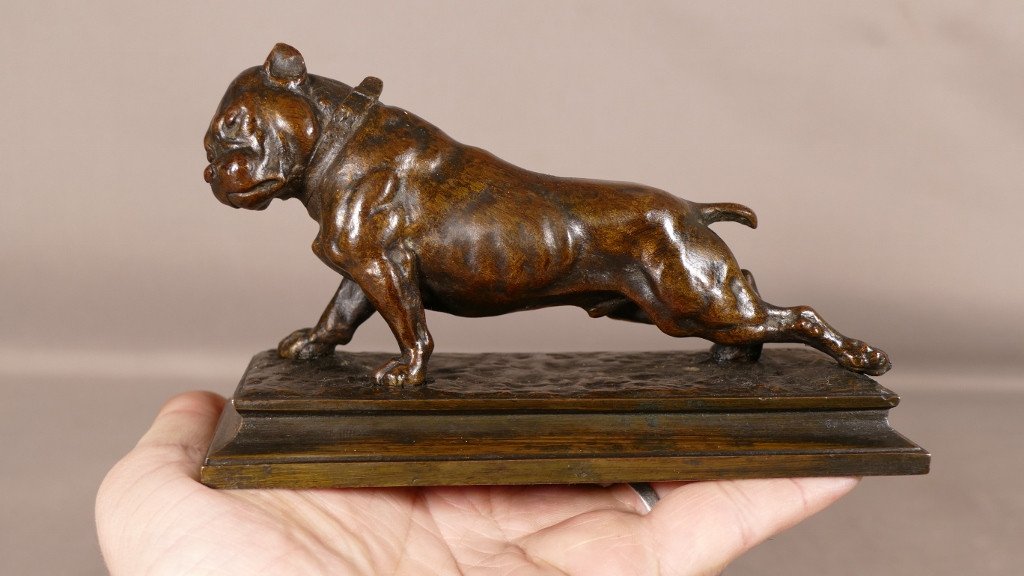 The Bulldog, Animal Bronze Late 19th Century By Joseph Victor Chemin-photo-4