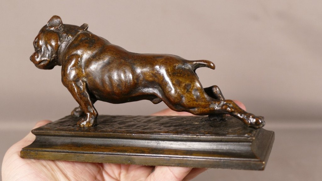 The Bulldog, Animal Bronze Late 19th Century By Joseph Victor Chemin-photo-1