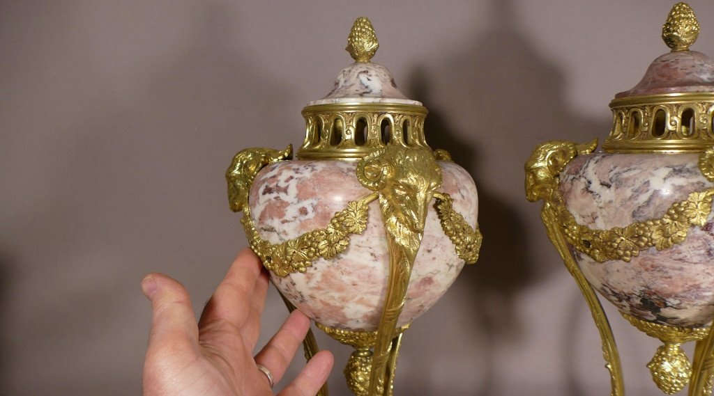 Pair Of Louis XVI Cassolettes In Veined Pink Marble And Gilt Bronze With Rams, 19th Century-photo-4
