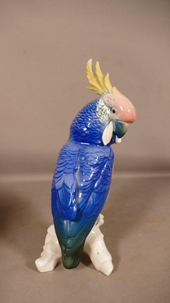 Karl Ens, Porcelain Parrot, Bird Animal Statuette, 20th Century-photo-3